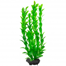 Растение аквариумное Tetra Hygrophila M с утяжелителем, 23 см
