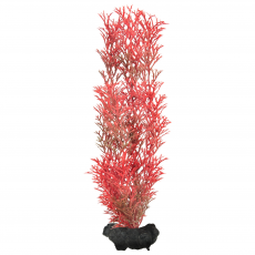 Растение аквариумное Tetra Red Foxtail M с утяжелителем, 23 см