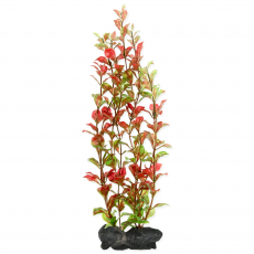 Растение аквариумное Tetra Red Ludvigia L с утяжелителем, 30 см