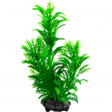 Растение аквариумное Tetra Green Cabomba S  с утяжелителем, 15 см
