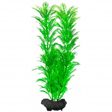 Растение аквариумное Tetra Green Cabomba M с утяжелителем, 23 см