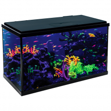 Аквариум Nimbus Dark, черный тонированный, 37,8л, 515х261х319 мм, Laguna