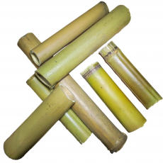 DECOTOP Bambusa Tube XXXS - Трубка из стебля бамбука, длина 10 см, Ø 4-5 см