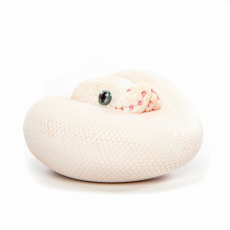 EXOPRIMA Фигурка питона, белая