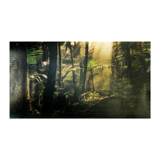 MCLANZOO Фон для террариумов Jungle, односторонний, самоклеющийся, 30.6х56.0 см