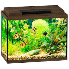 Аквариум Biodesign КЛАССИК 20 (золотой орех), 22 л, свет-к LED 6,3W, 660lm, 8000K, 40х22х33 см