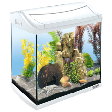 Аквариум Tetra AquaArt LED Discovery Line Crayfish 30 л, 4.8 Вт, белый