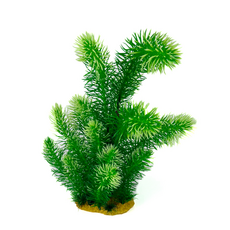 Кабомба зеленая 30 см в картонной коробке (YS-60511-1)