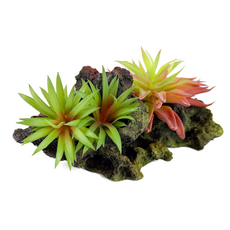 Декорация Риф с растениями 20х10х10