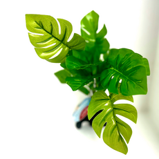 Искусственное растение на подложке Монстера Синда 12х7х32см