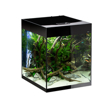 Аквариум AQUAEL GLOSSY 50 D&N черный, 135 л, высокий (ПОД ЗАКАЗ)