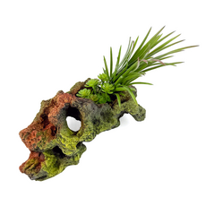 Декорация Риф с растениями 21х12х22