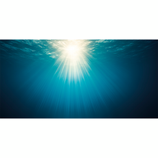 Фон для аквариума Подводная тишина 90х45 см