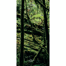 Фон для террариума Эхо дождевого леса 45х90 см