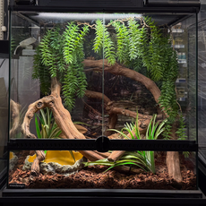 Террариумный комплект "Последнее пристанище"