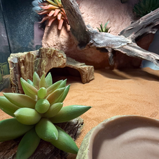 Террариумный комплект "Скалистое ущелье"