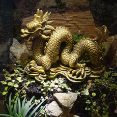 Флорариумный комплект "Склон Золотого Дракона"