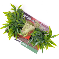 Растение пластиковое NomoyPet NFF-174, 70-80 см