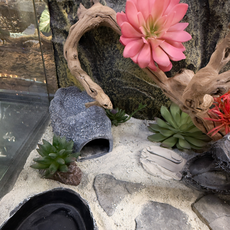 Террариумный комплект "Фрида"