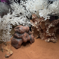 Террариумный комплект "Белый сад"