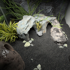 Террариумный комплект "Копи Мории"