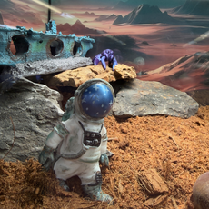 Террариумный комплект "Звёздный десант"