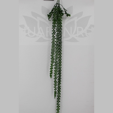 Крестовник геррейна искусственный