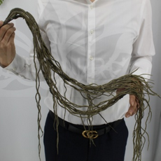 Декор корни