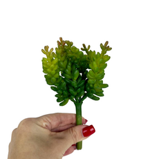 Декор седум микс