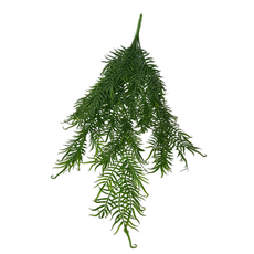 Папоротник ампельный, 70 см