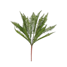 Папоротник орляк искусственный