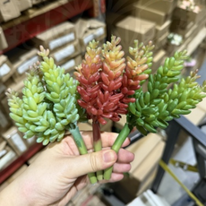 Декор седум микс