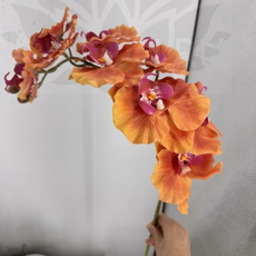 Ветка орхидеи оранжевая