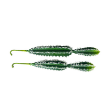 Кактусы искусственные набор 2 (30/40)