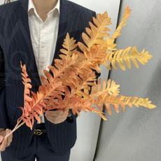 Декор папоротник сансет