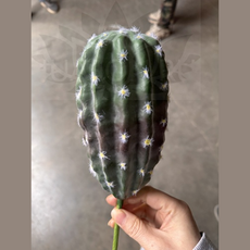 Декор кактус средний