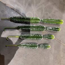 Кактусы искусственные набор 1 (50/60)