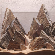 DECOTOP Coyote Box M - Натуральны камень "Окаменелое дерево" 5-30 см для аквариумов и террариумов, 12 кг/9 л