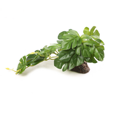 Laguna TERRA Растение пластиковое Монстера, зеленое, 260х150х140 мм