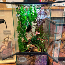 Террариумный комплект "Хотарио"