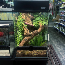 Террариумный комплект "Трутовик"