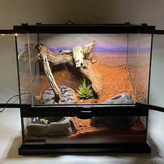 Террариумный комплет "Засуха"