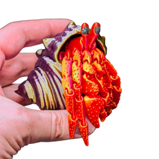 Игрушка подвижная 3D принтер Рак отшельник в раковине, цвет в ассортименте