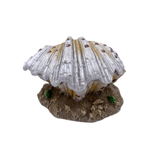 Декорация-распылитель Морская раковина, 13х10х7,5см