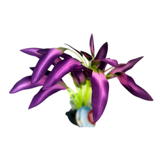 Искусственное растение на подложке Кордилина 12х7х32см