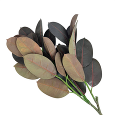 Декор каучуковое дерево