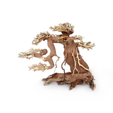 Декорация природная PRIME Коряга Бонсай 1 М 35x25x15 см