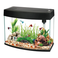 Аквариум АА-Aquarium BasicP 20 л, панорамный белый, 440х190х360 мм