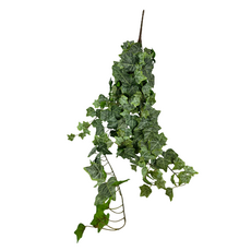 Плющ хедера 90 см