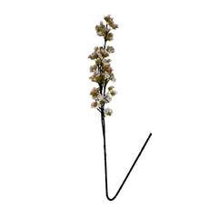 Ветка цветущая